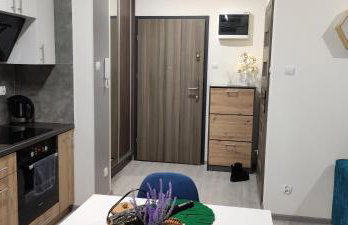 Apartament Pod Klonem - Foto 6