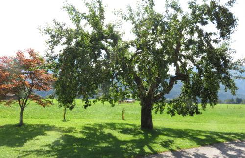 Ferienwohnungen Mooshäusl - Foto 12