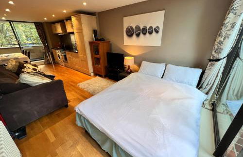 Happy River Thames View Entire Apartment - Foto 14