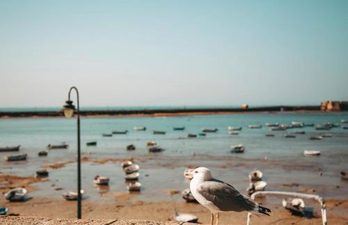 Hidden Gem GRAN TEATRO FALLA SUITES by ApartmentsinCadiz - Photo 47