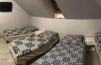 Noclegi u Alicji - Foto 16