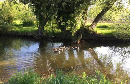 Harp Garden - Foto 48