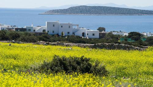 Villa Theros - Photo 2, Other