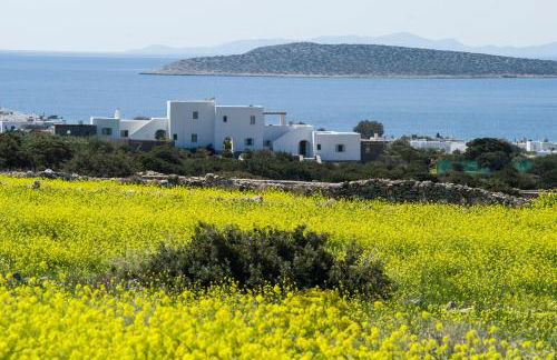 Villa Theros - Photo 2