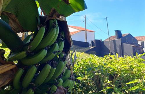 Canada da Ribeira - Photo 23