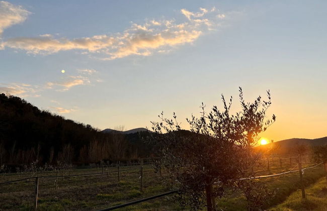 Holiday Home Casa Lena - Foto 16