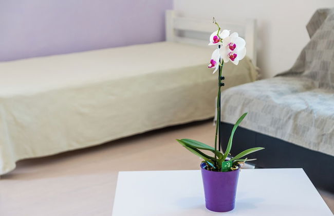 Apartments Kola's Mill - Foto 4