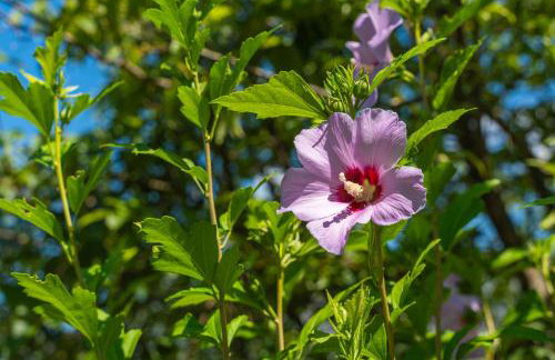 House Terra Madre - Photo 32