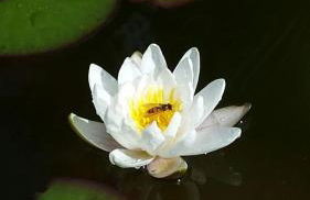 Haus am Sonnenhang - Foto 5