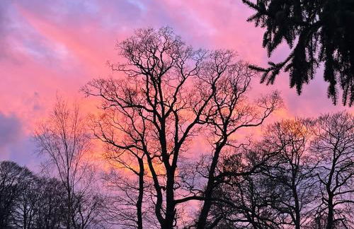 Country Cabin Retreat - Hideaway & Relax - Foto 16