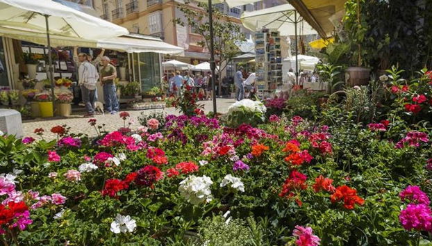 Panoramic Walking Tour Cadiz - Photo 4