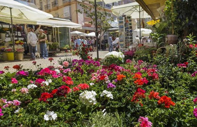 Panoramic Walking Tour Cadiz - Photo 4