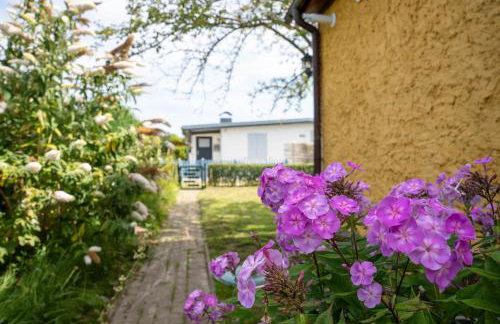 Bungalow "Appelboom" - Foto 26