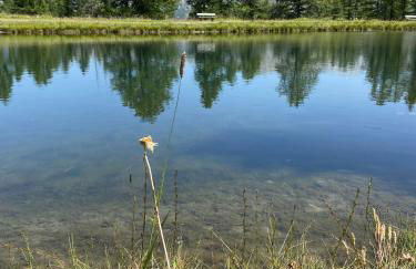 Studio 4 pers à 100m des pistes- Vars les claux - Foto 41