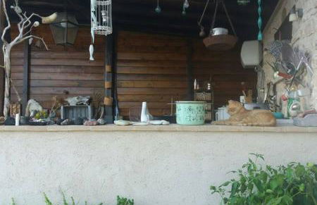 Agriturismo Monte Cologna - Photo 93