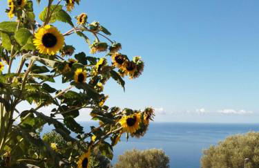 La Casa del Maestro Attico - Photo 69