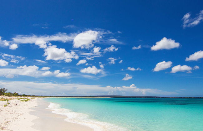 Excursion à Bahía de las Águilas - Photo 1
