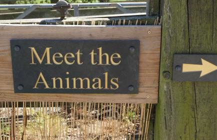 Shepherd's Watch Cottage - 5* Cyfie Farm with private hot tub - Foto 7