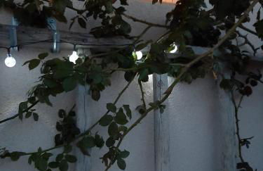 Rosso di Sera Loft - Foto 6