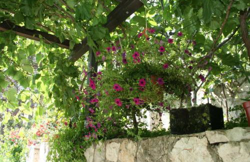 Studio Trstenik 4566b - Foto 15