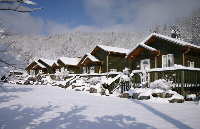 Hurb Green - Foto 65