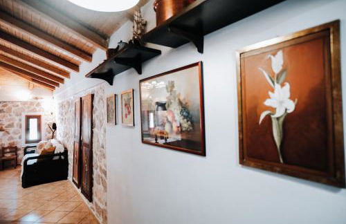 Olive Roots - Foto 38