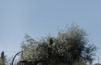 Villa Casa Diva - Foto 23