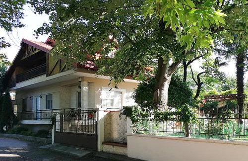 "The plane trees" - Foto 38