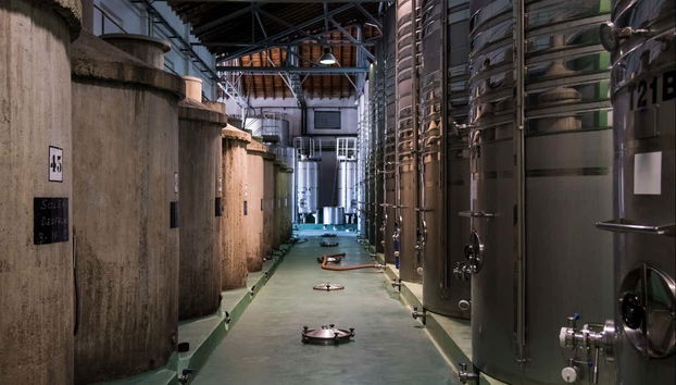 Visita a la bodega Cuatro Rayas - Foto 5