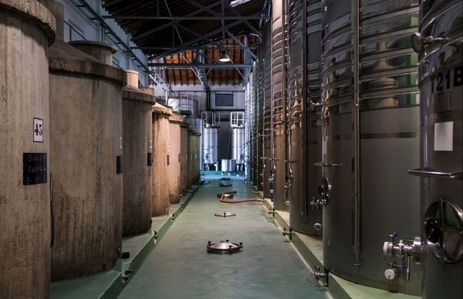 Visita a la bodega Cuatro Rayas - Foto 5