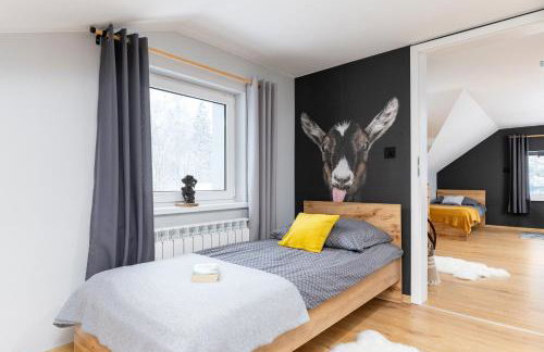 Dablin 9 - Dom w górach z gorącą balią, blisko szlaków i wyciągów - Foto 5