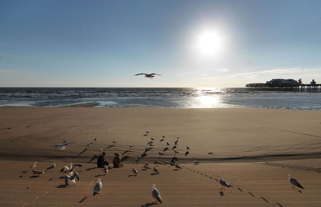 Howarth House Apartments - Foto 68