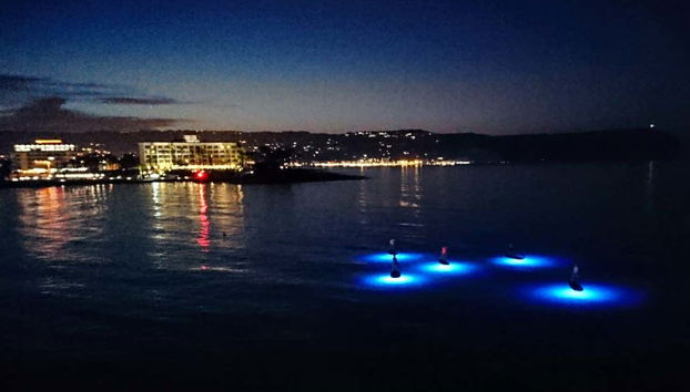 Night Paddle Surf Tour in Jávea - Foto 5