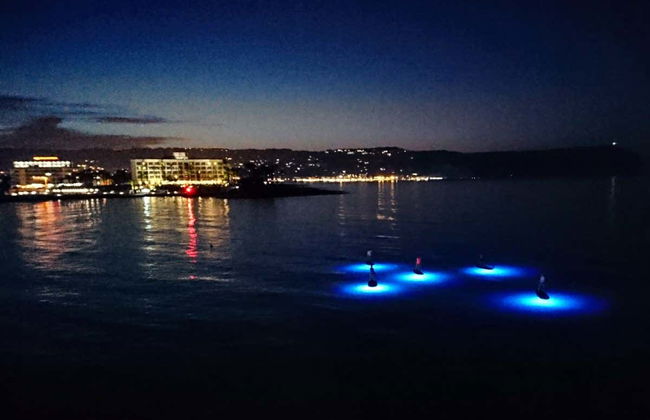 Night Paddle Surf Tour in Jávea - Foto 5