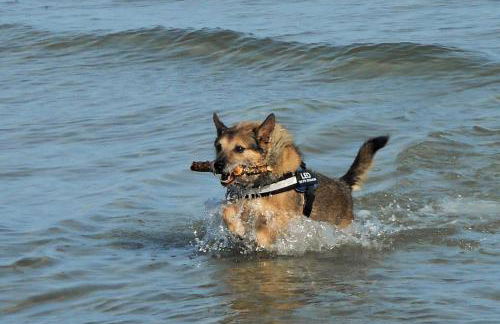 Apfelgarten - Foto 24