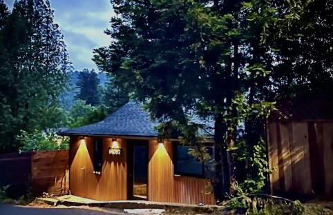 Your Lazy Bear Destination - You're Right In The Thick Of It! Book It Now, Reach Out With Questions! - Foto 12