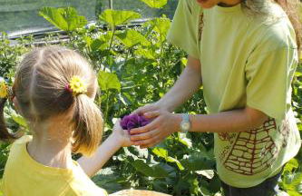 Agritur Agrihouse - Foto 32