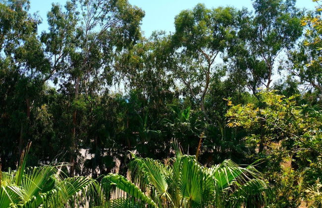 Vega Suites - Foto 12