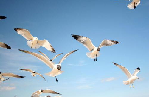 WI29A Water Street Condos Unit 602 - Foto 13