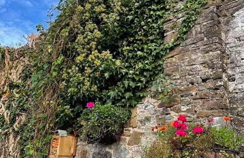 Lotte’s Cottage - Foto 20