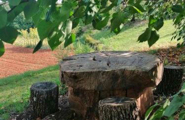 Apartman Kalić - Foto 50