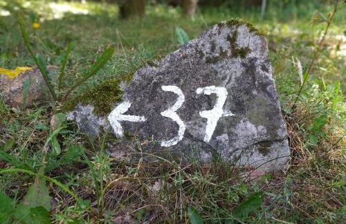 Ferienhaus Eugenie - Foto 12