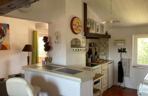 La bastide de Mauragne - Gîte les Iris - Photo 18