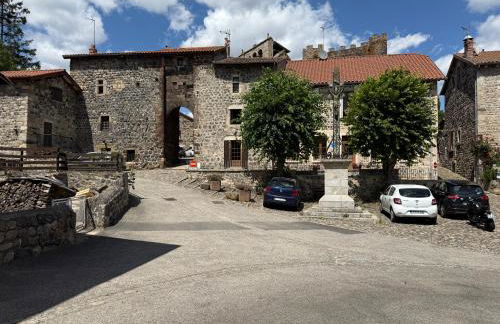 Gite LES SOURCES, 9 pers, 11 couchages - Arlempdes, classé un des plus beaux villages de France - Foto 39