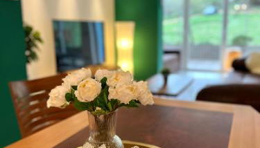 JUNIPRO Apartments Haustadt - Foto 5