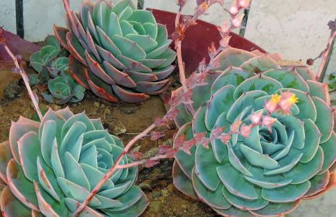 BLISS WHITE HOUSE - Foto 45