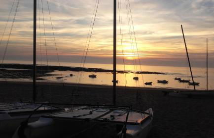 Maison avec Jardin privé - Foto 15