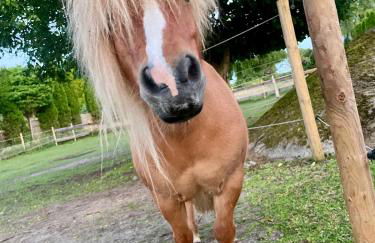 Knut's Nest - Foto 26