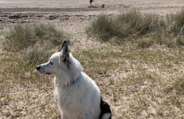Tawny Owl Pod with Hot Tub - Foto 76