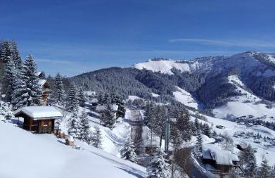 Demi Chalet Le LACHAT - Photo 43